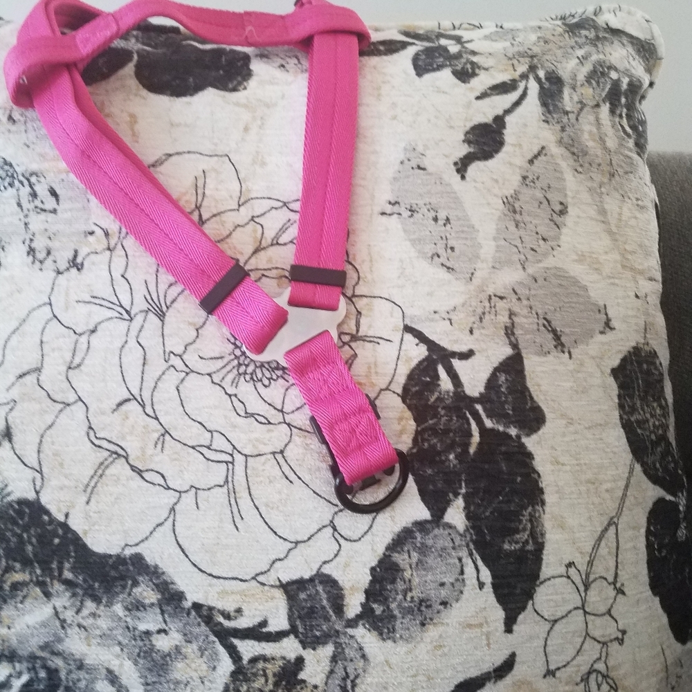 Arista Harness - Picture 2 of 4